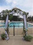 pool_wedding_pinetreecc